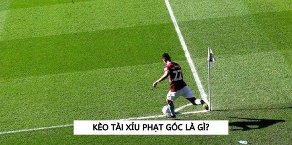 Tổng quan về kèo tài xỉu phạt góc tại W88