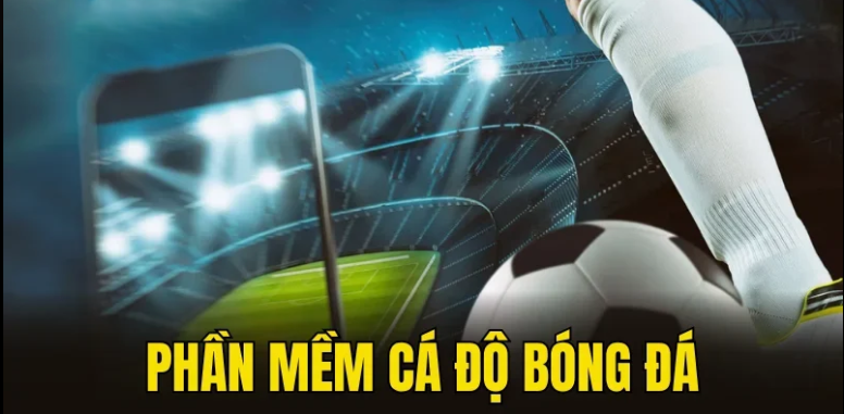 Hiểu đúng về phần mềm cá độ bóng đá